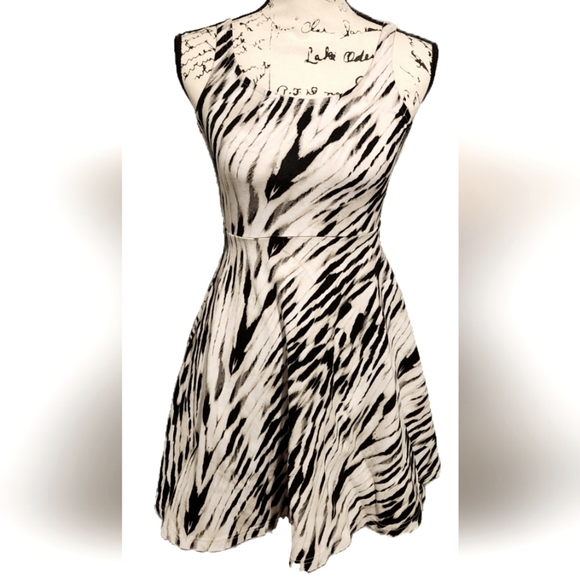 Express Sleeveless Skater Dress - Picture 1 of 11